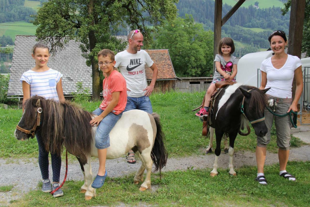 Feldlhof Villa Schladming Ngoại thất bức ảnh